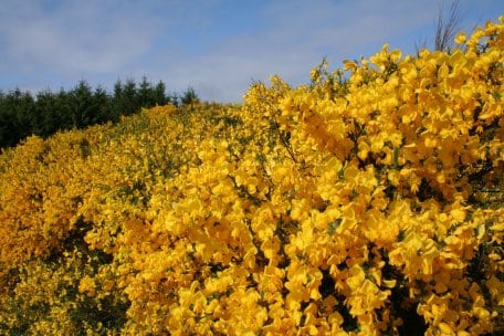 03-09-11-0012_Guido Priske.jpg