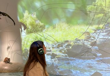 10 Jahre Erlebnisausstellung „Wildnis(t)räume“ im Nationalpark-Zentrum Eifel