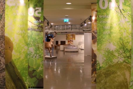 20221124_NLP Zentrum Ausstellung Wildnis(t)räume_Marie Bartning (23)_bearbeitet_zugeschnitten.jpg