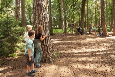 20230712_Wildniscamp_Bartning_Auswahl (48)_komprimiert.jpg