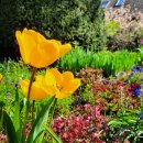 2026_Haus Salzberg_NLPV Eifel-J.Daus (12).jpg