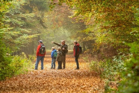 Ab dem 23. Oktober finden auch am Wochenende wieder Rangertouren im Nationalpark Eifel statt – kostenfrei und ohne Anmeldung.