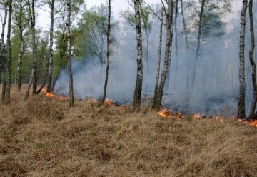 Aktuell hohe Waldbrandgefahr
