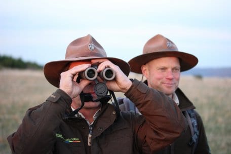 Alles im Blick: Für den Schutz der Tier- und Pflanzenwelt und die Umweltbildung, also die „Kernaufgaben“ eines Nationalparks, sind aktuell insgesamt 36 Ranger für die Nationalparkverwaltung Eifel im Einsatz – ein Teil davon 365 Tage im Jahr in der Gebiets