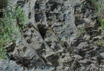 Als der Nationalpark noch Meer war