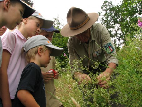 An den Führungen, Naturerlebnisangeboten und umweltpädagogischen Programmen im Nationalpark Eifel nahmen vergangenes Jahr über 25.000 Personen teil. (Quelle: S. Wilden)
