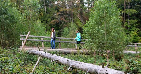 An der Kletterstrecke vom Wilden Weg kann es in der Zeit bis zum 20. September zu Beeinträchtigungen kommen.