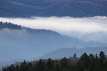 As our climate is dominated by westerly winds, most rain showers occur when the clouds meet the west-facing slopes. 