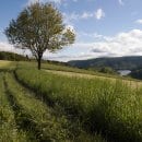 Auch Kultur und Landschaft kommen in dem Bildband nicht zu kurz. (Foto: G. Braun)