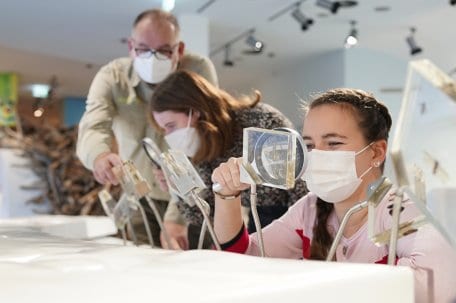 Auch an den bevorstehenden Festtagen lädt die Erlebnisausstellung „Wildnis(t)räume“ im Forum Vogelsang IP zu einem Besuch ein. Ein Quiz für Kinder rundet bis Jahresende das ohnehin familienfreundliche Angebot ab.