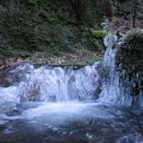 Auch im Winter einen Besuch wert: Der Nationalpark Eifel.