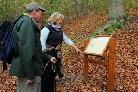 Auf dem Schöpfungs-Pfad gibt es zehn Stationen. Die Stationen zeigen die Natur am Rand vom Schöpfungs-Pfad. An den Stationen sind Texte aus der Bibel.