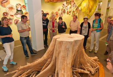 Auf eigene Faust oder mit Führung - drinnen oder auch draußen: Erkunden Sie die Wildnis(t)räume ganz nach Ihren Wünschen.