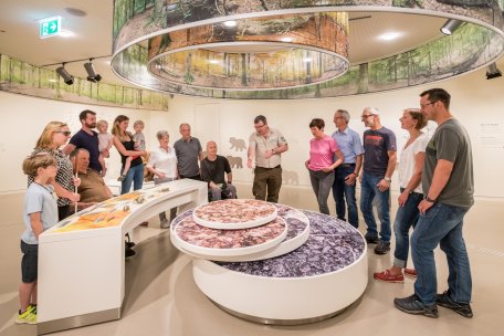 Auf eigene Faust oder mit fachkundiger Begleitung: In den &quot;Wildnis(t)räumen&quot; gibt es viel zu entdecken!