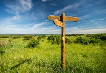 Aufregung um entlaufenen Hund im Nationalpark Eifel