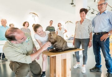 Ausflugstipp im April: Survival-Tricks von Fledermaus, Eisvogel und Co.