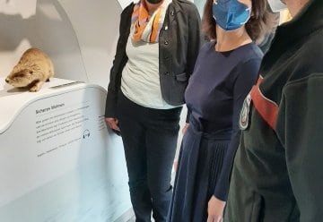 Außenministerin Annalena Baerbock besucht Nationalpark-Ausstellung und Vogelsang IP