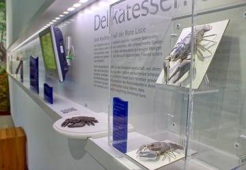 Ausstellung "Lebensadern der Natur"