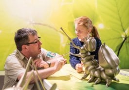 Ausstellung Wildnisträume-2018-001.jpg