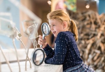 Ausstellung Wildnisträume-2018-016.jpg