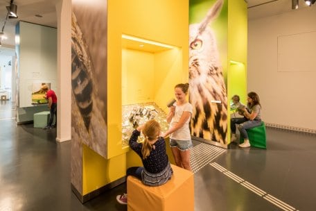 Ausstellung Wildnisträume-2018-035.jpg