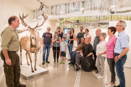 Ausstellung Wildnisträume-2018-106.jpg