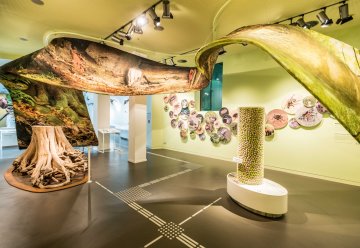 Ausstellung Wildnisträume-2018-195.jpg