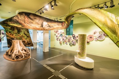 Ausstellung Wildnisträume-2018-195.jpg