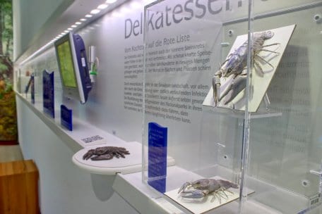 Ausstellung &quot;Lebensadern der Natur&quot;