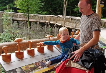 Barrierefrei Natur erleben im Herzen des Nationalparks Eifel
