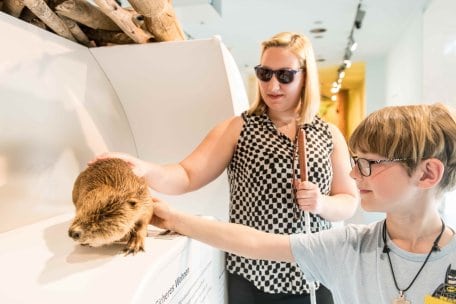 Barrierefreie Angebote - wie hier die Erlebnisausstellung &quot;Wildnis(t)räume&quot; im Nationalpark-Zentrum Eifel - bieten eine hervorragende Möglichkeit, um gemeinsam die Eifel zu erkunden.