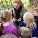 Bei Junior Ranger-Touren führen die Jungen und Mädchen Familien auf Augenhöhe durch den Nationalpark Eifel. Spielerisch vermitteln sie Werte und Wissen rund um das besondere Schutzgebiet.
