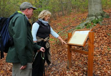 Bei einer meditativen Wanderung sind Sie "dem Leben auf der Spur"