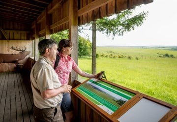 Beobachten Sie wilde Tiere in natürlicher Umgebung