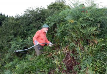 Bergwaldprojekt mit 15 Freiwilligen im Einsatz für den Nationalpark