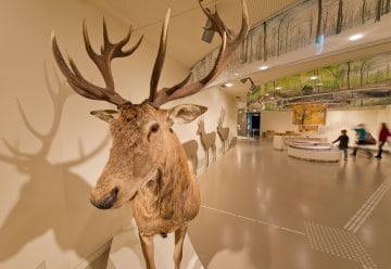 Bestens versorgt während Ihres Aufenthalts im Schutzgebiet