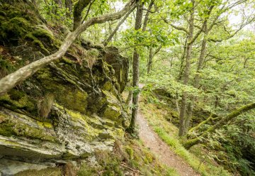 Bewerten Sie Ihre Erfahrungen