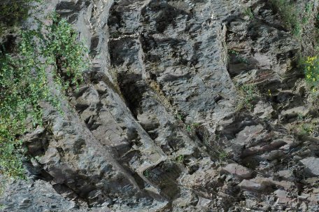 Bild 1: Bei der Entdeckungstour mit einem Geologen des Geologischen Dienstes NRW und einem Ranger der Nationalparkverwaltung Eifel erfahren Teilnehmer die spannende Geschichte der Gesteine im Nationalpark Eifel. Foto: Geologischer Dienst NRW