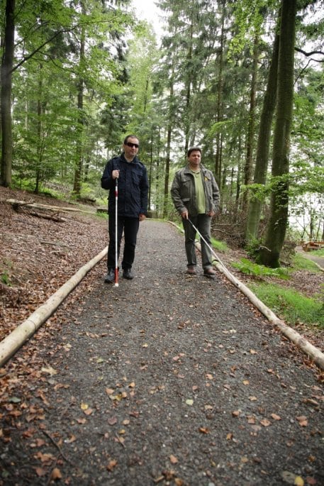 Bild 1: Fein geschotterte Wege von 4,7 Kilometer Länge und maximal sechs Prozent Neigung (als Rundweg mit max. 8 Prozent) führen durch den barrierefreien Naturerlebnisraum Wilder Kermeter im Nationalpark Eifel. Foto: U. Giesen