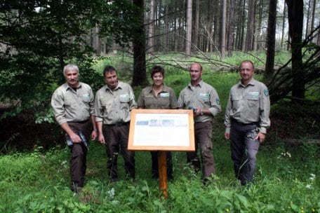 Bild 1: Teamwork zwischen den Fachgebieten der Nationalparkverwaltung: Dr. Andreas Pardey (rechts), Martina Höller (Mitte) und die drei Ranger der Holzbauwerkstatt Harald Grieff, Rainer Reinartz und Clemens Scory (v.l.n.r.). Foto: Nationalparkverwaltung