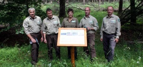 Bild 1: Teamwork zwischen den Fachgebieten der Nationalparkverwaltung: Dr. Andreas Pardey (rechts), Martina Höller (Mitte) und die drei Ranger der Holzbauwerkstatt Harald Grieff, Rainer Reinartz und Clemens Scory (v.l.n.r.). Foto: Nationalparkverwaltung