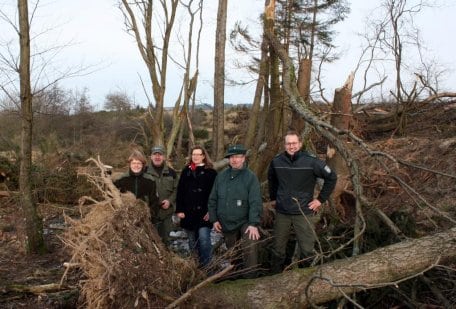 Bild 1: Zur Vorstellung der Bachrenaturierungsmaßnahmen fanden sich die Projektbeteiligten am Sauerbach ein. Foto: Nationalparkverwaltung