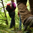 Bild 2: Der Wildnis-Trail führt auf 85 Kilometern in vier Tagesetappen quer durch die landschaftliche Vielfalt des Nationalparks, von seiner südlichen Grenze bis zur Nordspitze.