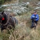 Bild 2: In der Stoppelsief, einem Seitental des Wüstebaches, sollen Anteile an Totholz die Gewässerstruktur anreichern. Foto: Biologische Station StädteRegion Aachen