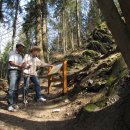 Bild 2: In seinen ersten fünf Jahren des Bestehens erfreute sich der Schöpfungspfad großer Beliebtheit bei den Nationalparkbesuchern. (Foto: Nationalparkverwaltung Eifel)