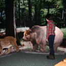 Bild 2: Startpunkt der geologischen Wanderung ist das Nationalpark-Tor in Nideggen. Dort können sich die Teilnehmer zum Thema Nationalpark informieren. (Foto: G. Priske)