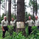 Bild 3: Die Managementschilder erklären unter anderem, warum im Nationalpark Eifel zahlreiche Douglasienstämme „geringelt" werden. Foto: Nationalparkverwaltung