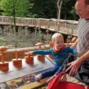 Bild 3: Die Pilzstation ist für kleine und große Entdecker spannend