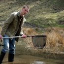 Bild 3: FÖJler unterstützen zudem den Naturschutz im Nationalpark Eifel, hier Mario Harzheim bei der Amphibienkartierung. (Foto: Nationalparkverwaltung Eifel/A.Simantke)