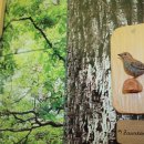 Bild 3: Kunstvoll geschnitzte heimische Vogelarten zieren die große Fotowand.